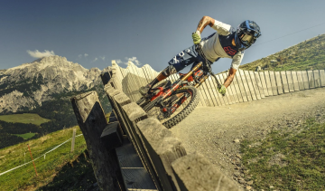 Bild MTB